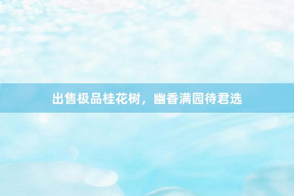 出售极品桂花树，幽香满园待君选